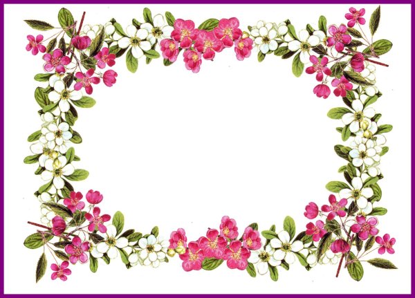 цветок рамка