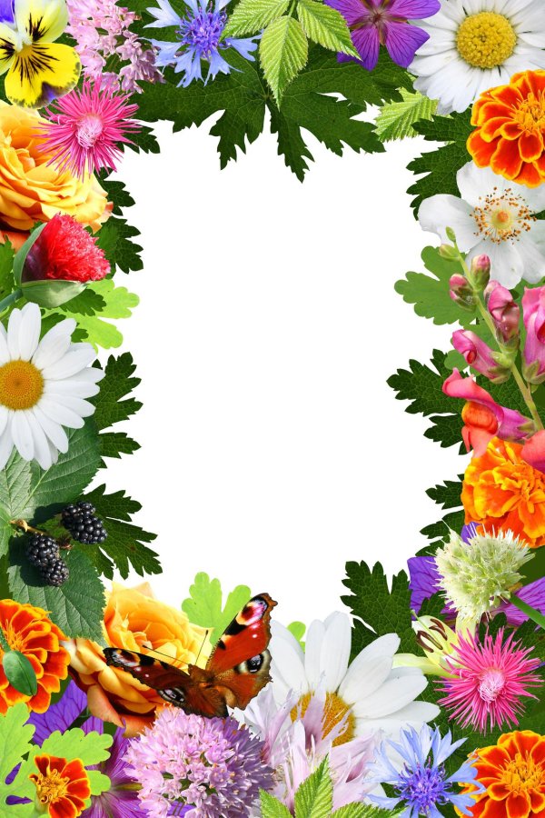рамочка с цветами