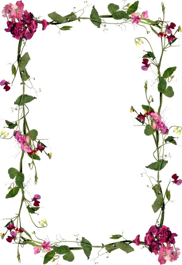 рамочка с цветами