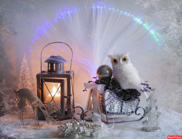 новогодние совы