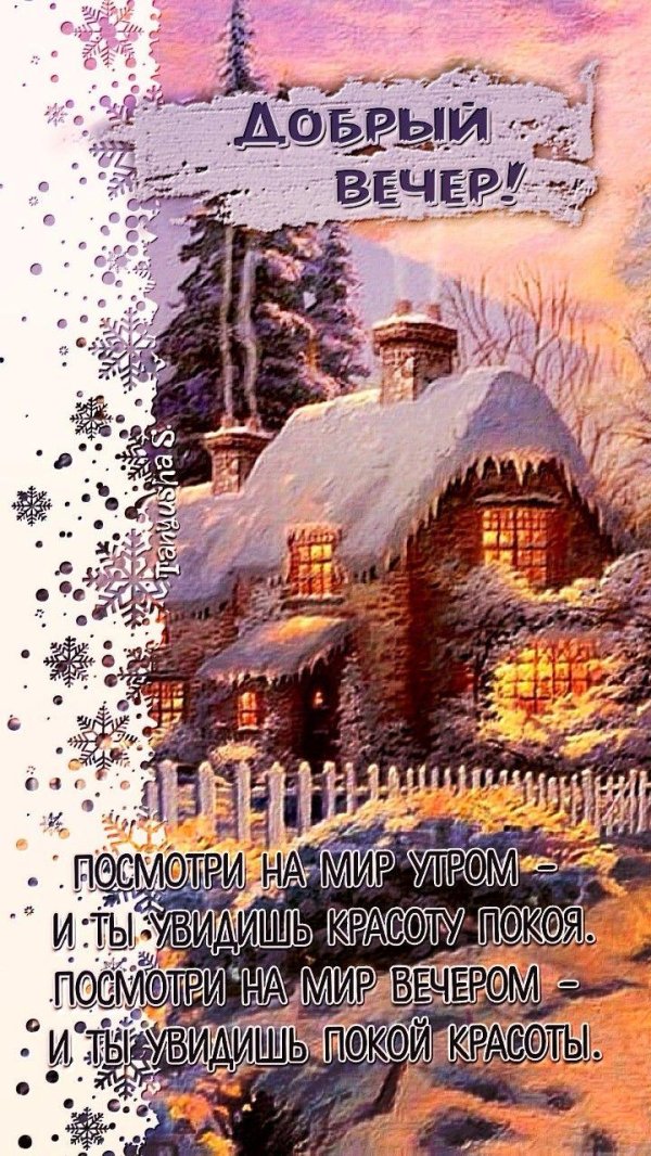 добр вечер