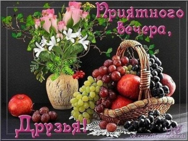 фрукты натюрморт