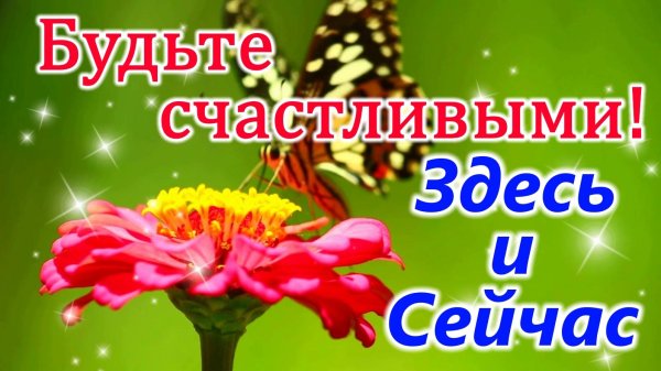 летние цветы