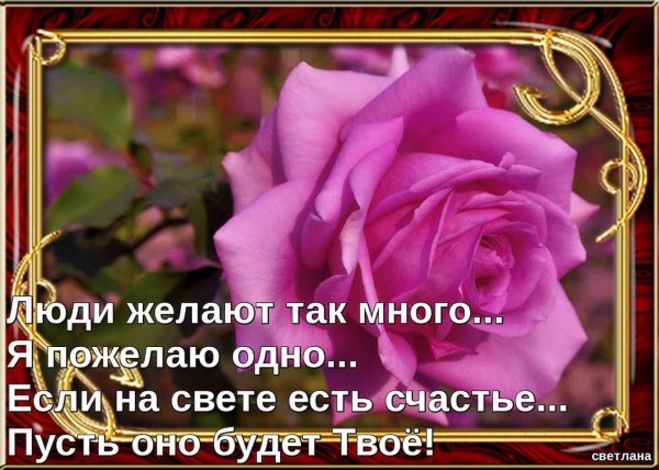 желаем счастья