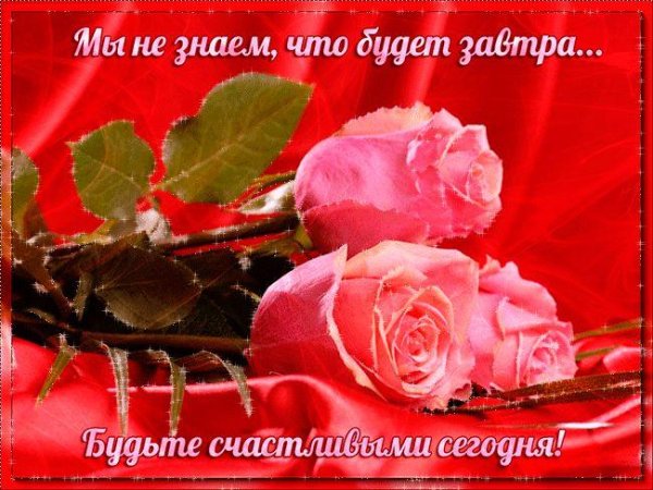 открытки красивые розы