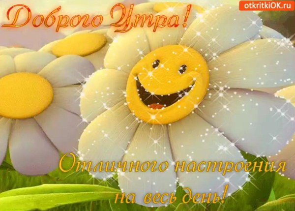 хорошего дня и отличного настроения