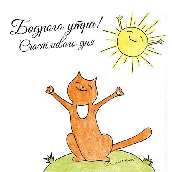 рисованные коты