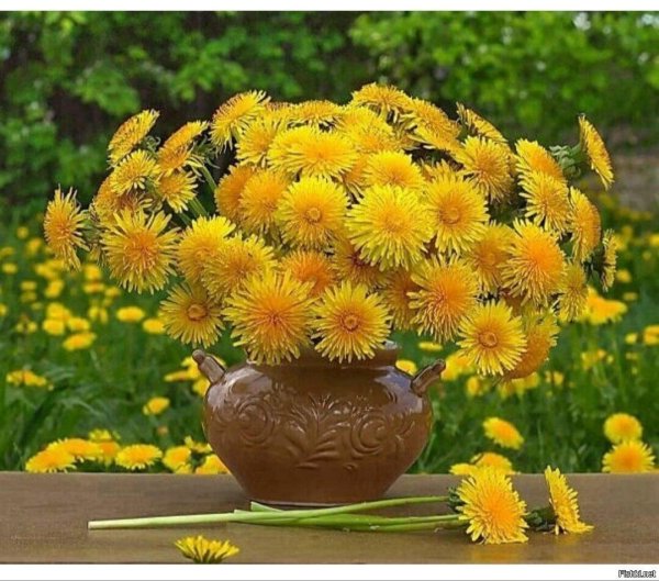 солнечного настроения