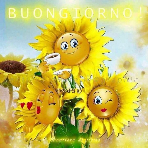 immagini buongiorno