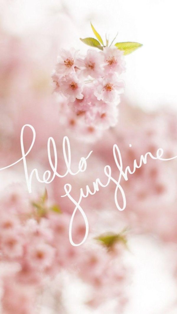 hello spring