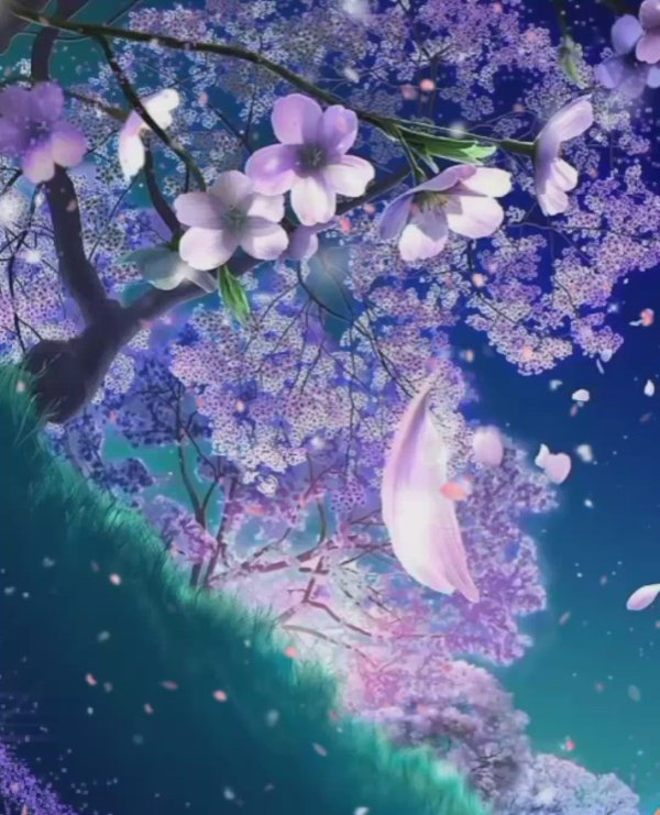 ютака кагайя