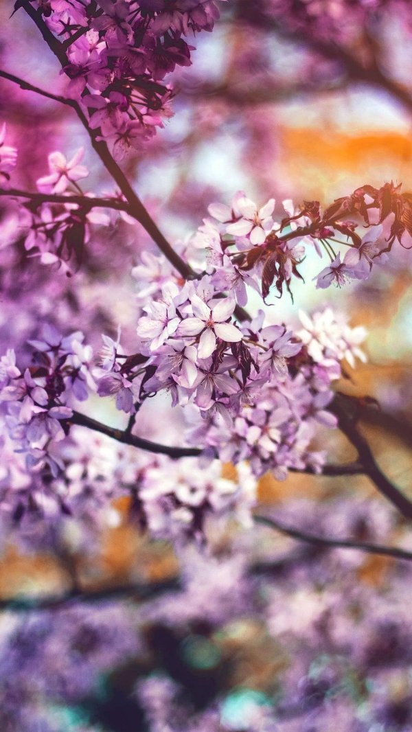 природа весна