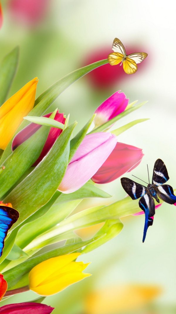 цветок яркий