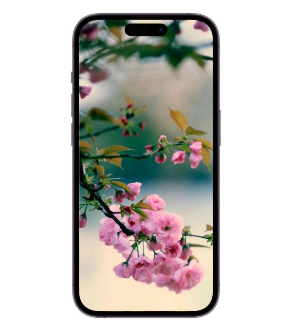 фон на айфон