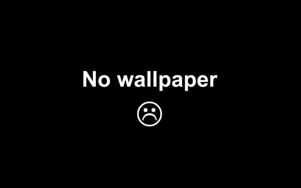 no wallpaper обои