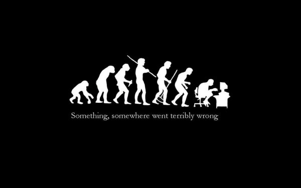 human evolution
