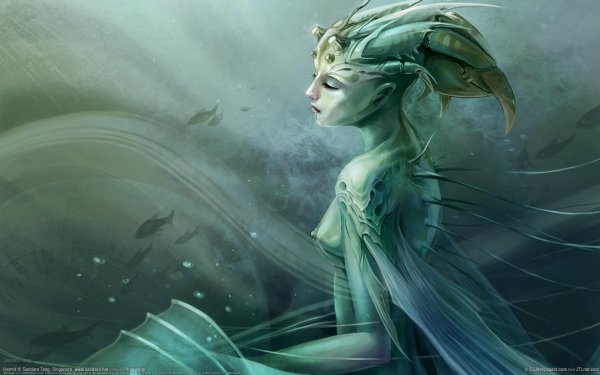 морские эльфы