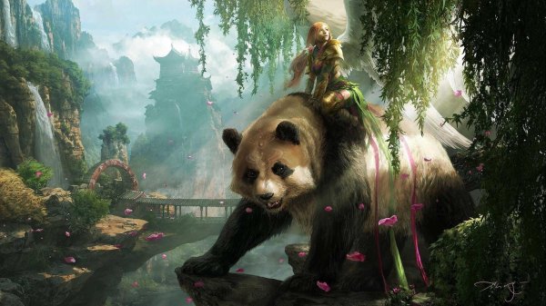 насти панда