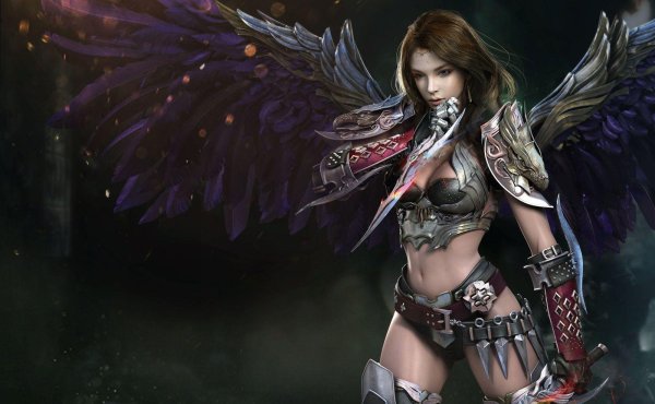 воительница валькирия