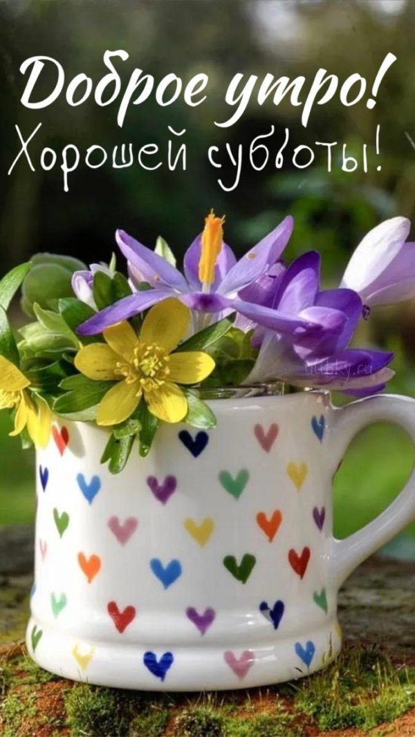 доброе субботнего утра