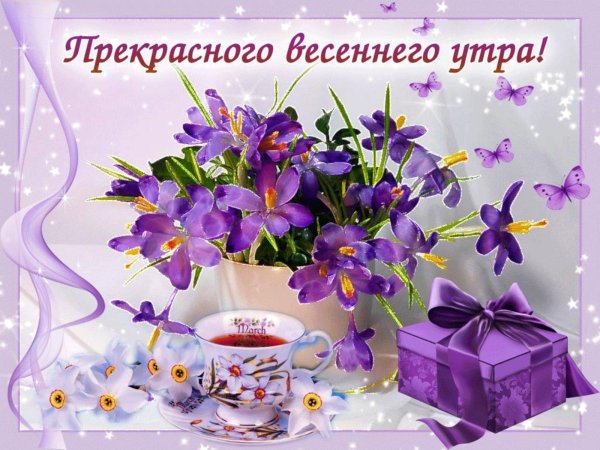 с весенним утром открытки
