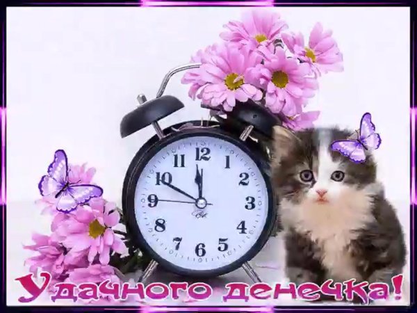 доброго денечка