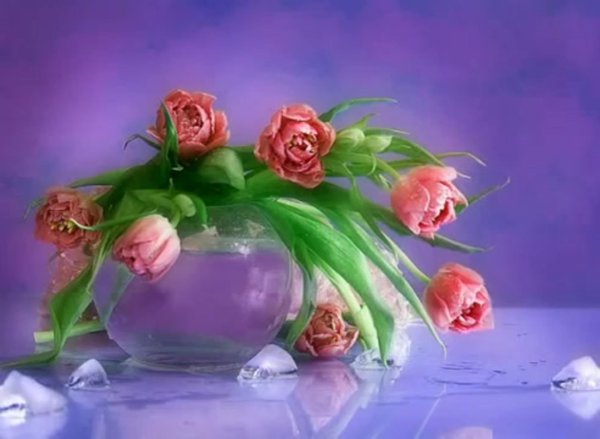 открытка цветами