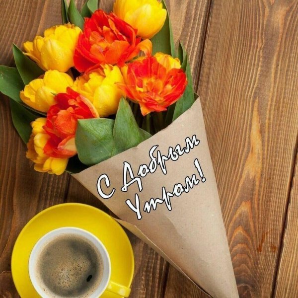 тюльпаны с добрым утром