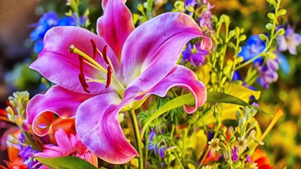 лилия визион