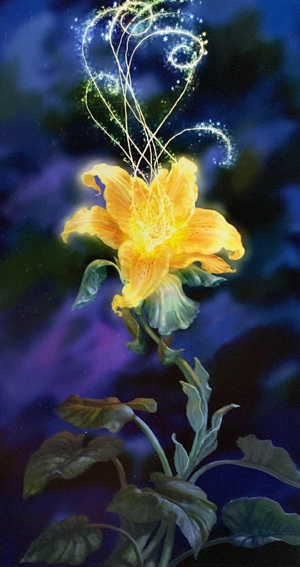 цветок рапунцель