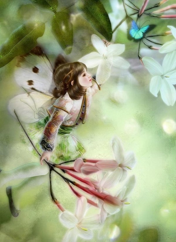 йокота михару японская художница