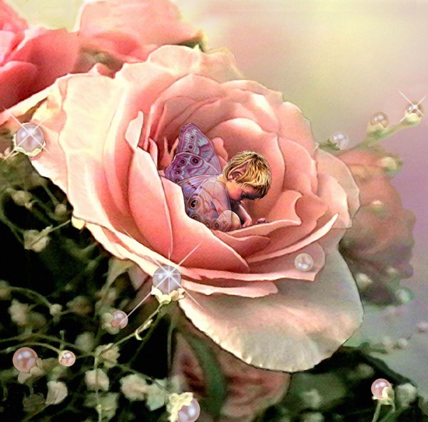 открытки феи