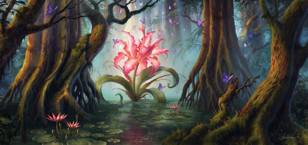 заколдованный лес