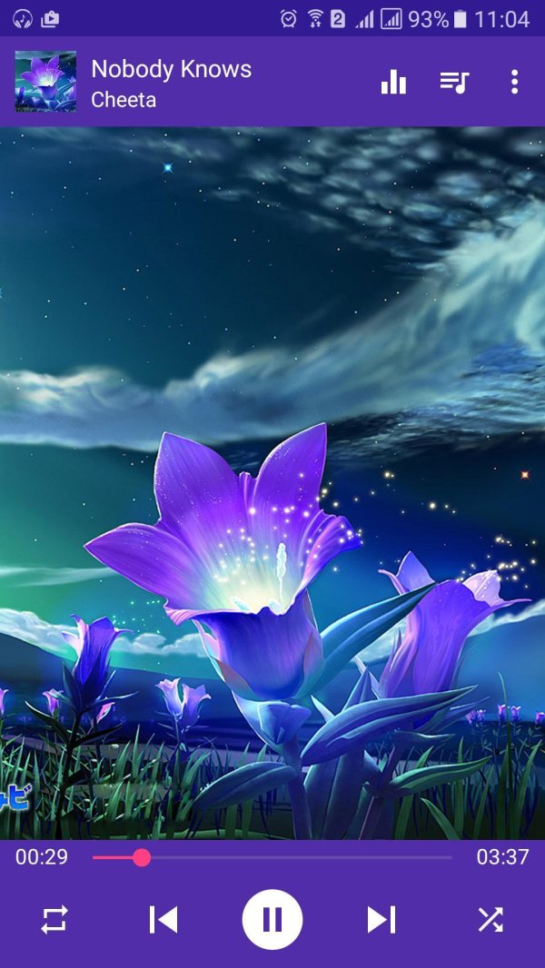 ночной цветок луноцвет