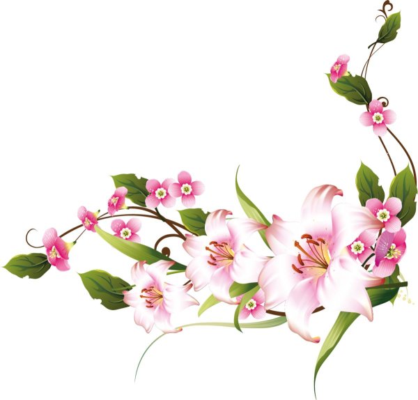 угловые цветы