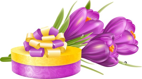 крокусы на прозрачном фоне