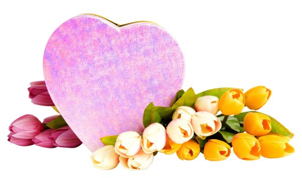 сердце из тюльпанов