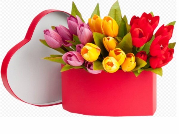 тюльпаны подарок