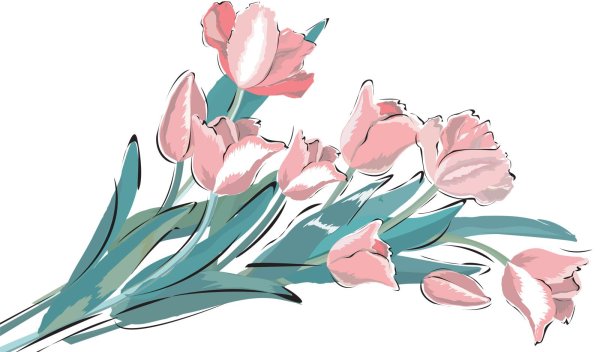 векторные тюльпаны