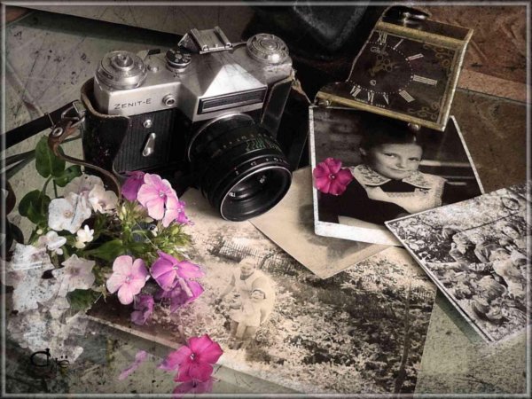 5 ноября день рассматривания старых фотографий