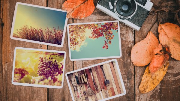 снимки полароид