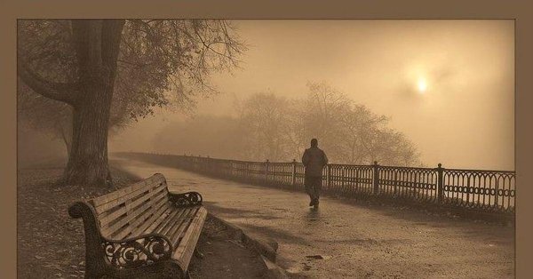 туман осень