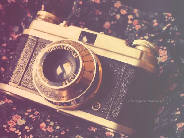 винтажные фотоаппараты