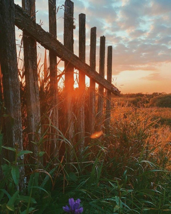 деревенские заборы