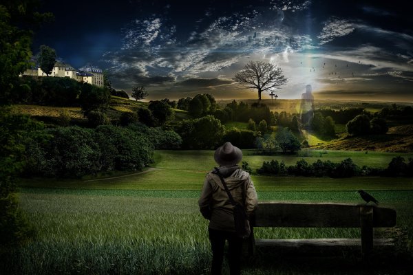 панорама природа