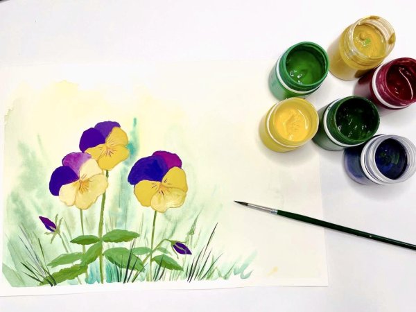 анютины глазки акварель