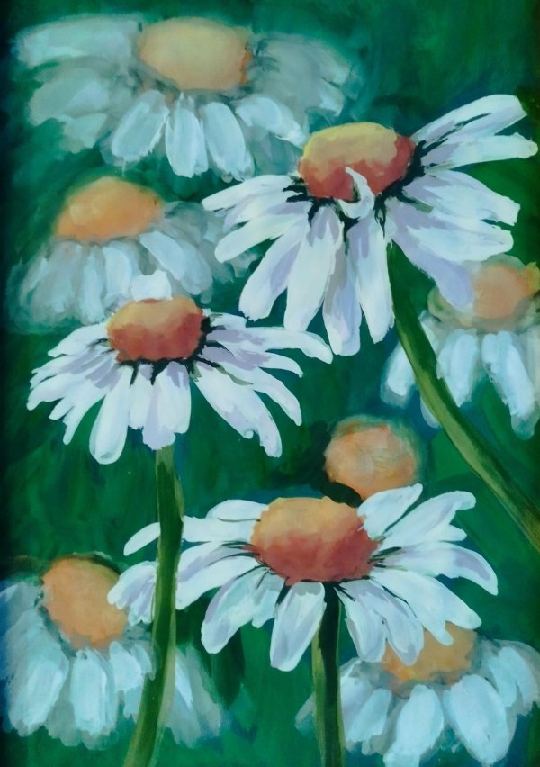 ромашки живопись