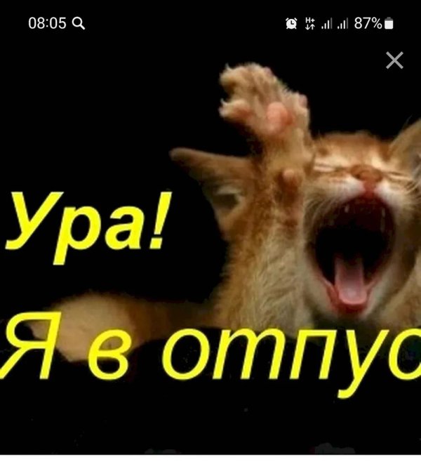а я в отпуске