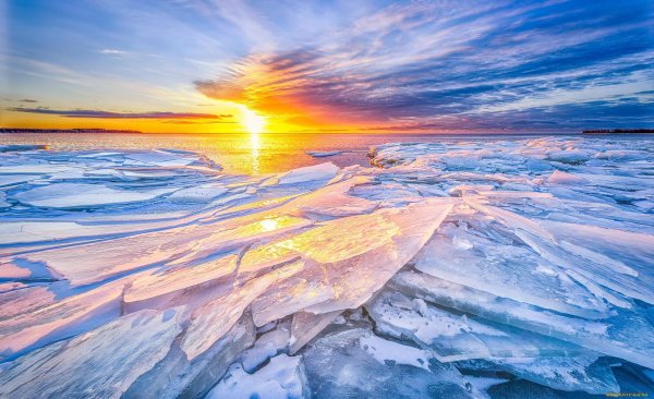 природа арктики