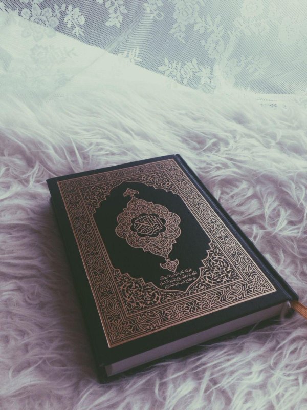 коран мединский мусхаф